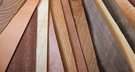 Maison à ossature en bois : quel est le bois le plus adapté ?
