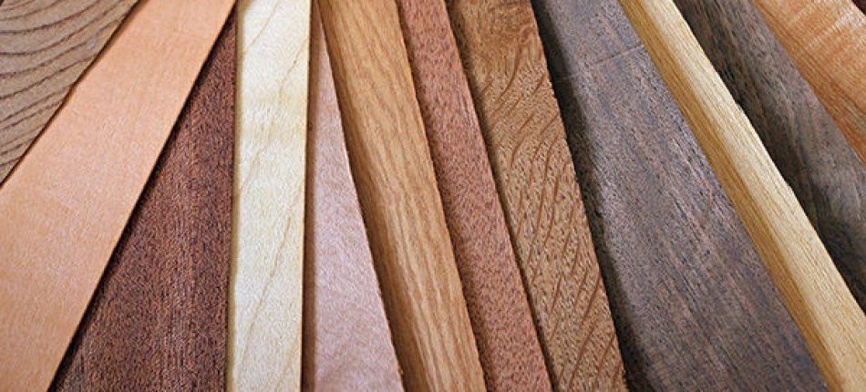 Maison à ossature en bois : quel est le bois le plus adapté ? 