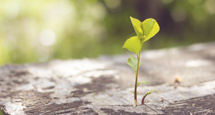 RE2020 : quelles sont les grandes orientations de cette réglementation ?