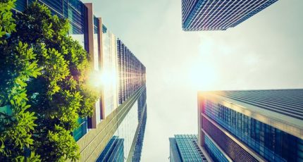 Construire autrement : L’avenir de la construction bas carbone