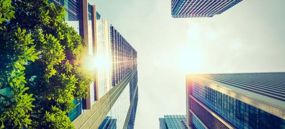 Construire autrement : L’avenir de la construction bas carbone 