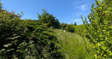 Saint-Éloi Terrain à bâtir -  Natilia