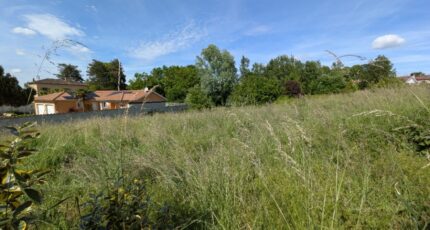 Anthon Maison neuve -  Natilia