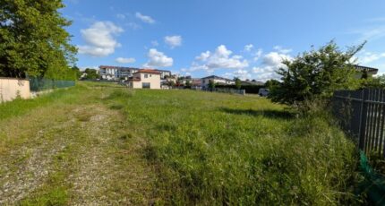 Jonage Maison neuve -  Natilia